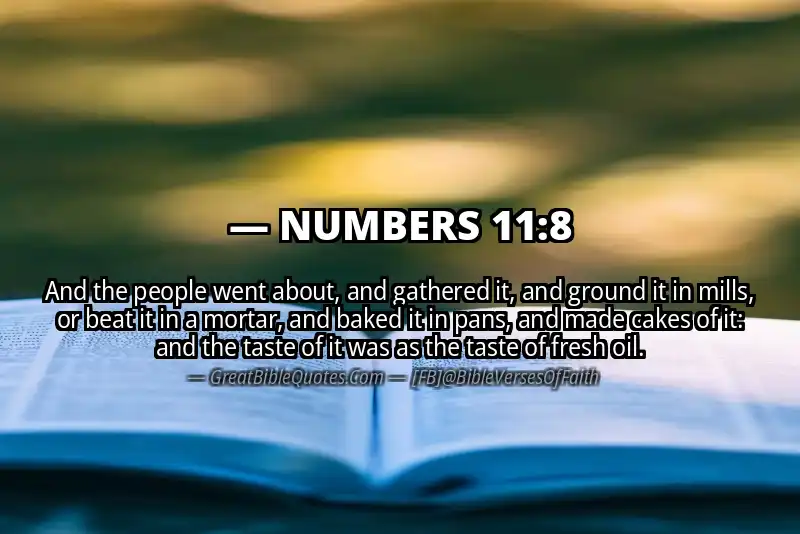 NUMBERS 11:8 Verse