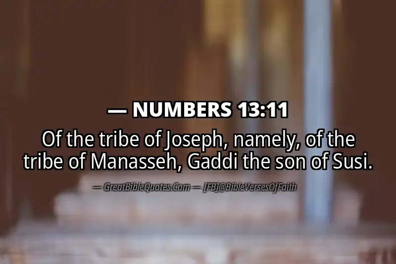 NUMBERS 13:11 Verse Image