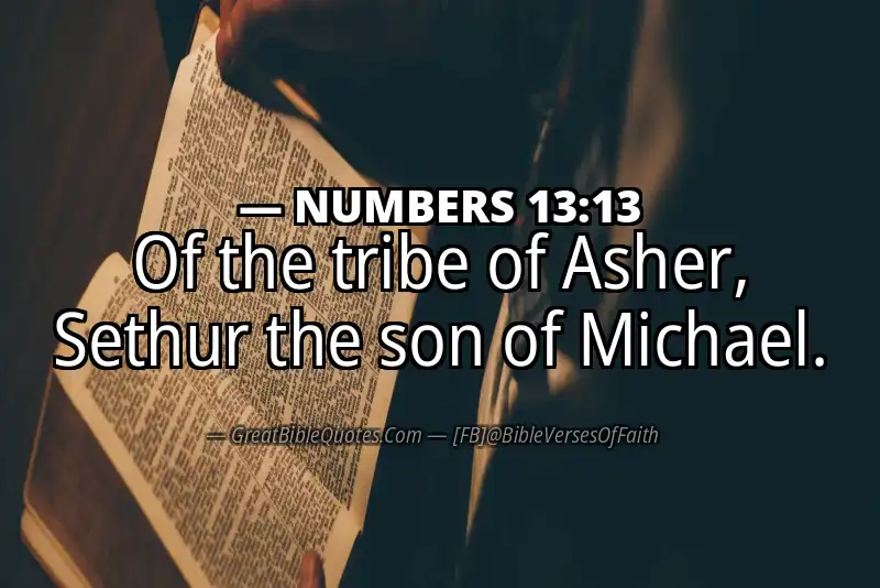 NUMBERS 13:13 Verse