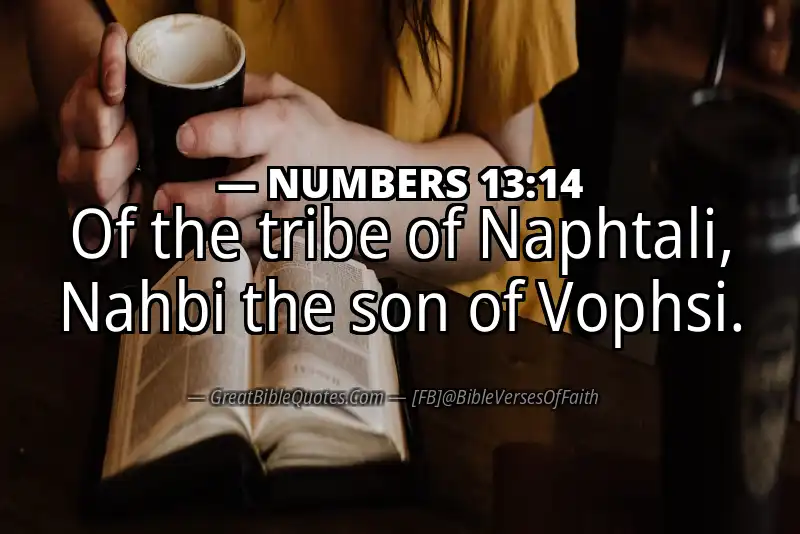 NUMBERS 13:14 Verse