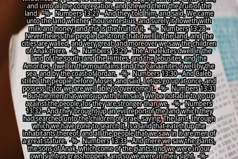 Image for NUMBERS 13:26-33 Bible verse