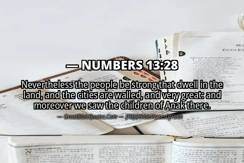 NUMBERS 13:28 Verse