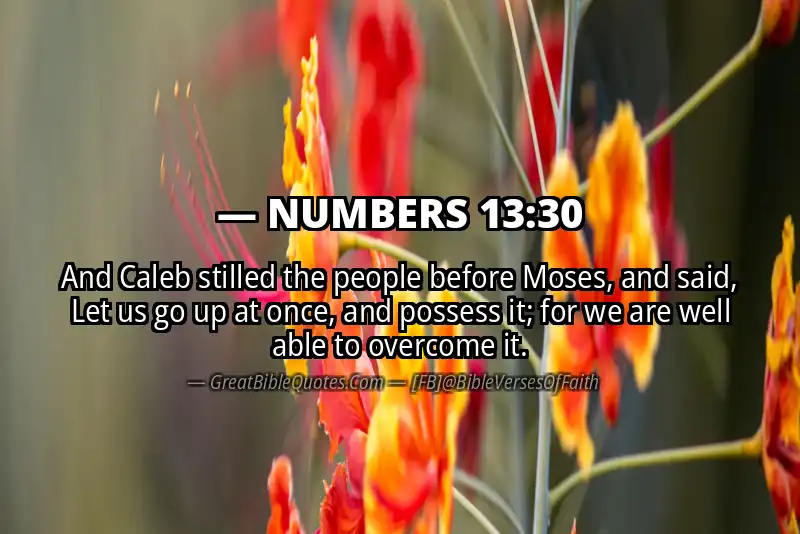 NUMBERS 13:30 Verse