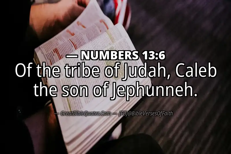 NUMBERS 13:6 Verse Image