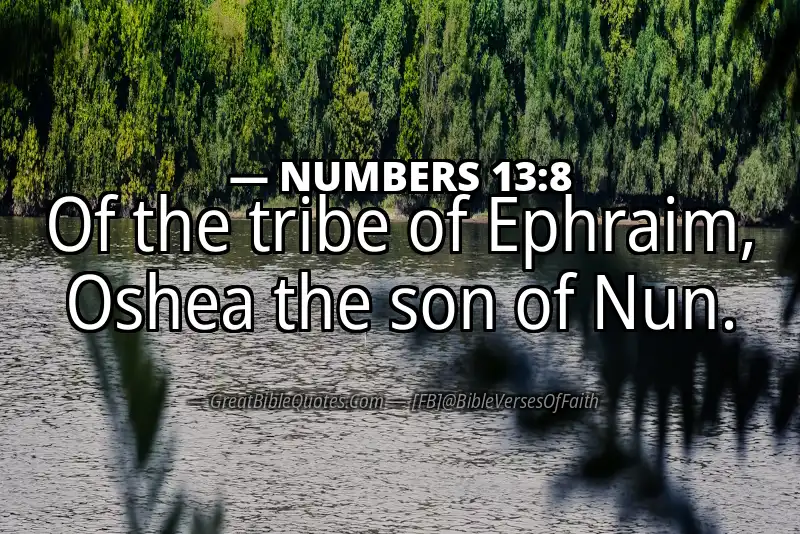 NUMBERS 13:8 Verse Image
