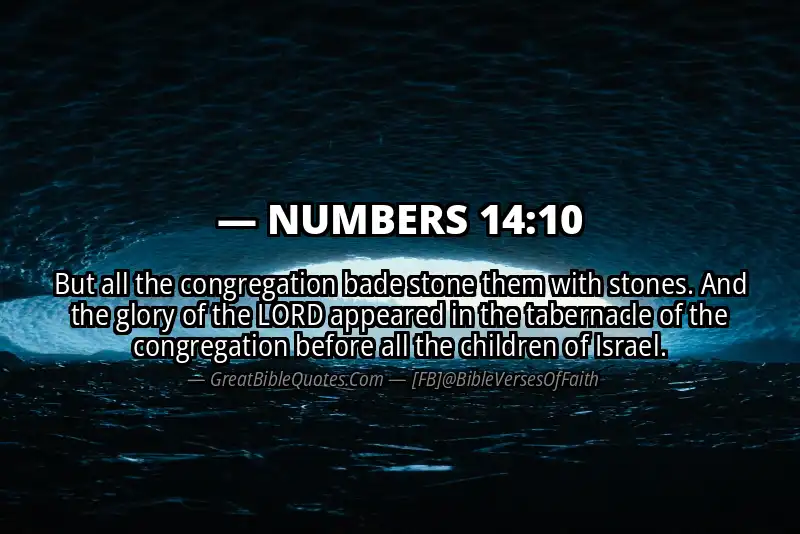 NUMBERS 14:10 Verse