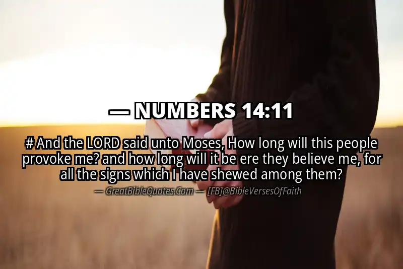 NUMBERS 14:11 Verse