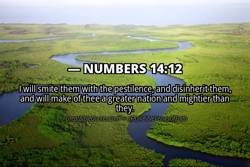 NUMBERS 14:12 Verse