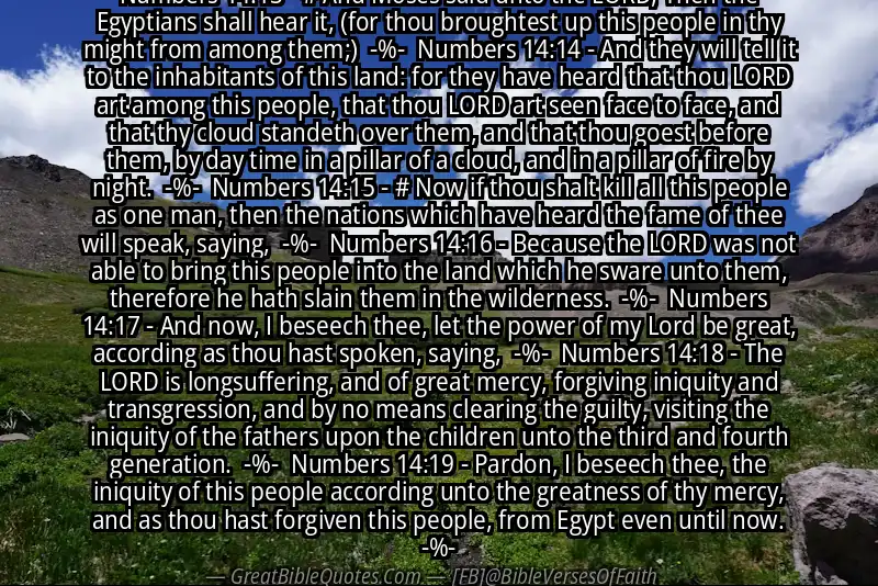 Image for NUMBERS 14:13-19 Bible verse