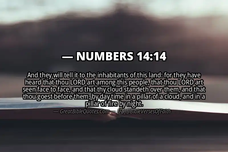 NUMBERS 14:14 Verse