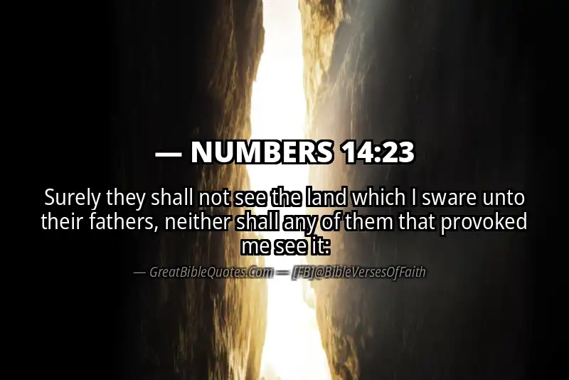 NUMBERS 14:23 Verse