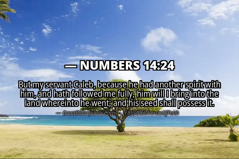 NUMBERS 14:24 Verse