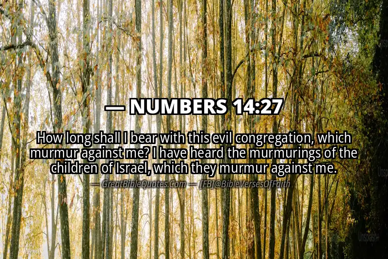 NUMBERS 14:27 Verse