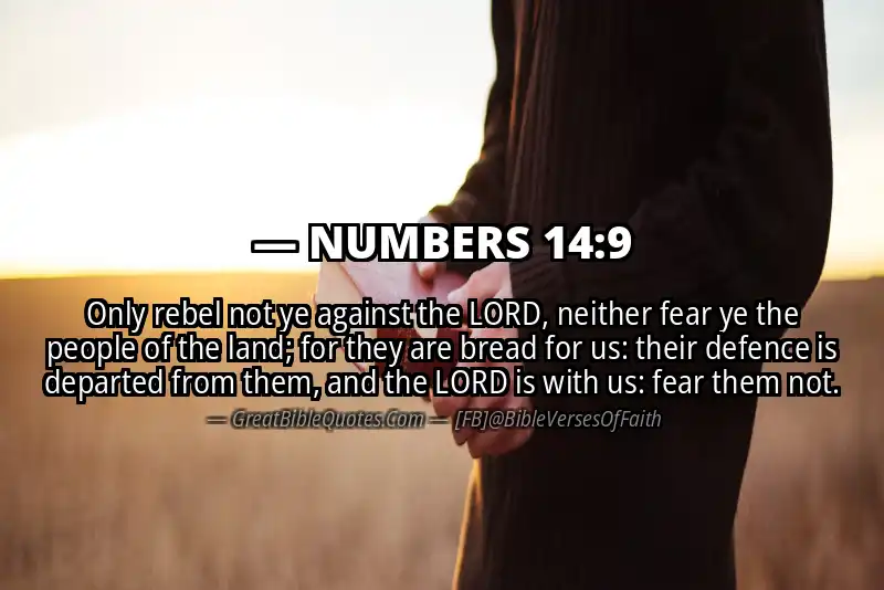 NUMBERS 14:9 Verse