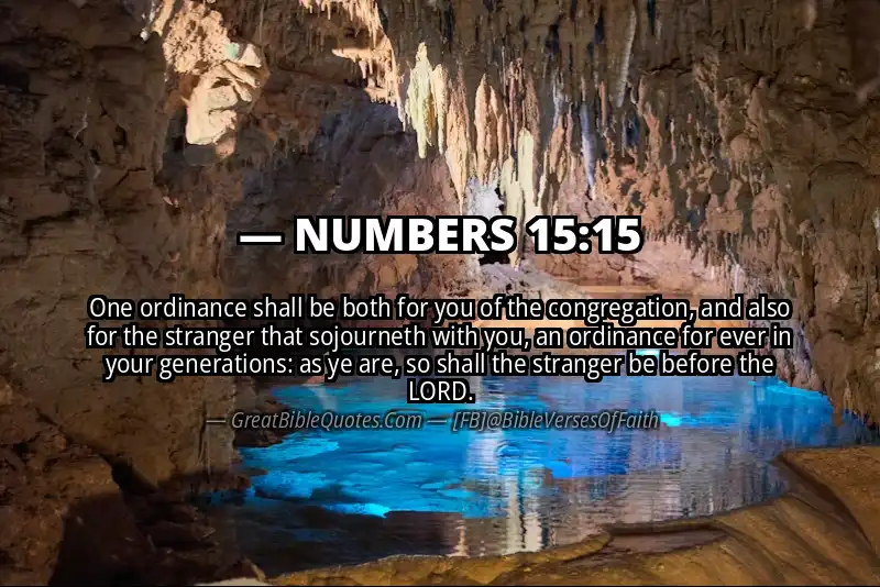 NUMBERS 15:15 Verse