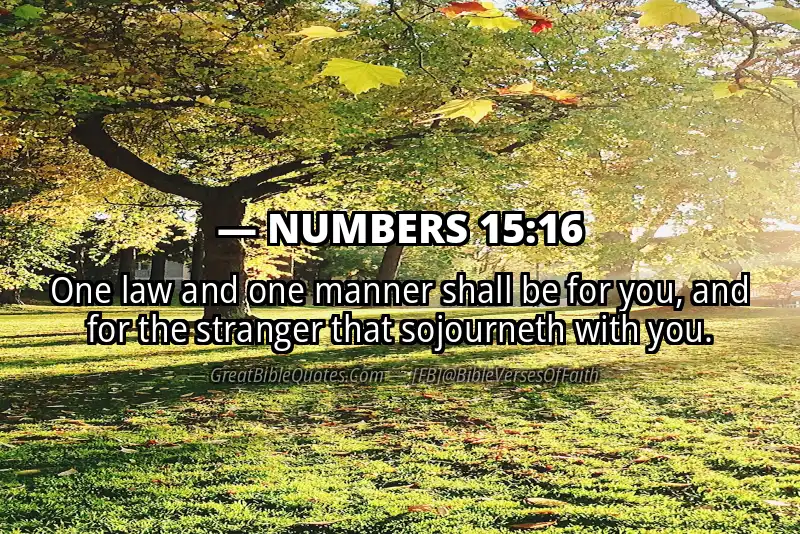 NUMBERS 15:16 Verse