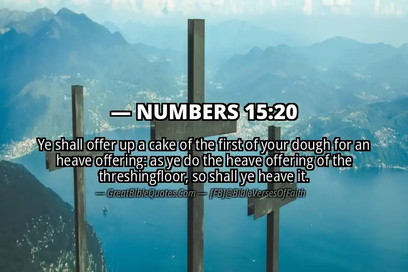 NUMBERS 15:20 Verse