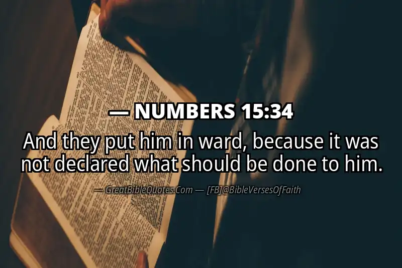 NUMBERS 15:34 Verse