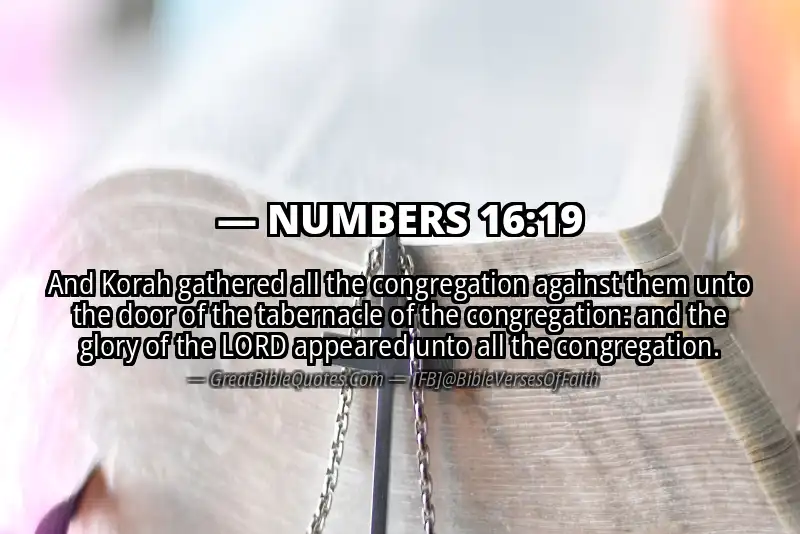 NUMBERS 16:19 Verse