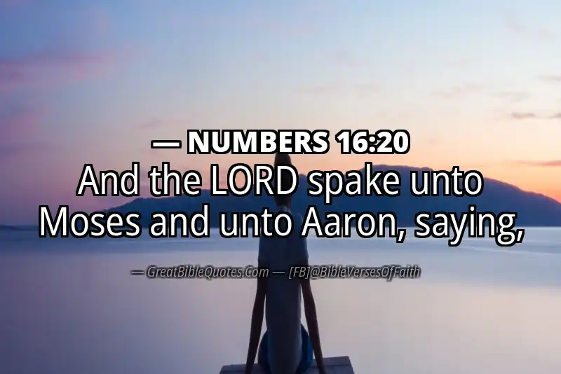 NUMBERS 16:20 Verse