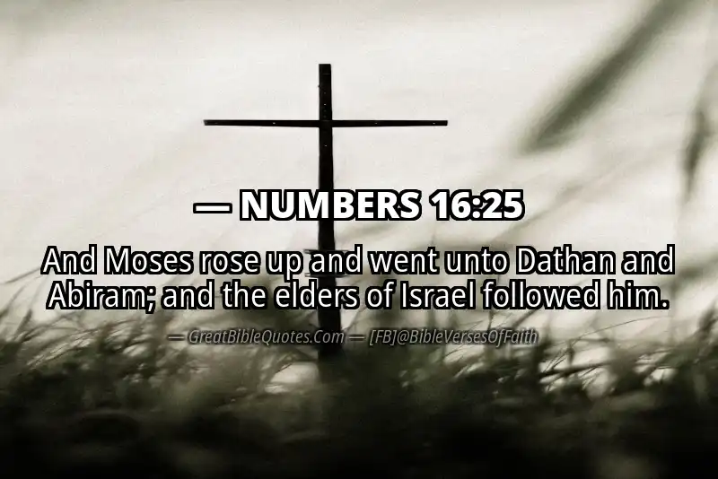 NUMBERS 16:25 Verse