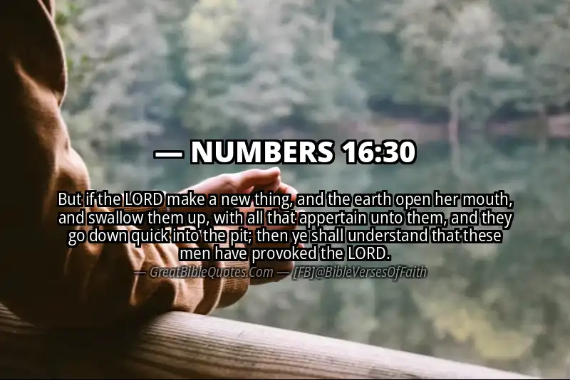 NUMBERS 16:30 Verse