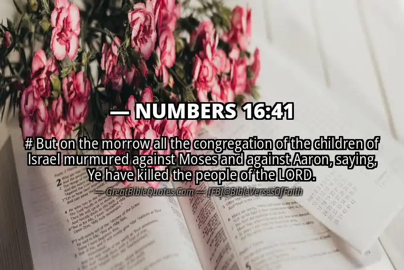 NUMBERS 16:41 Verse