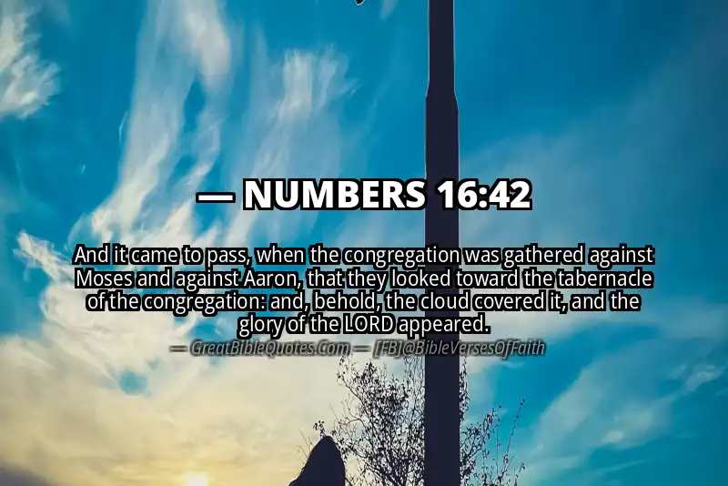 NUMBERS 16:42 Verse