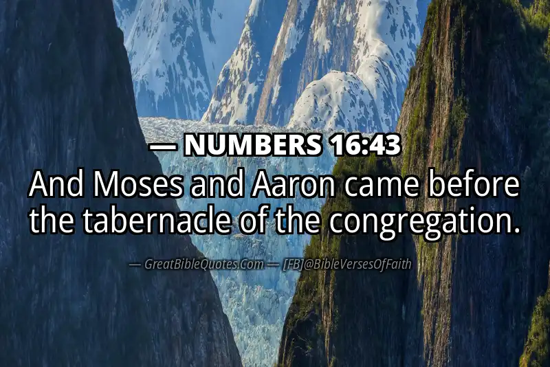 NUMBERS 16:43 Verse