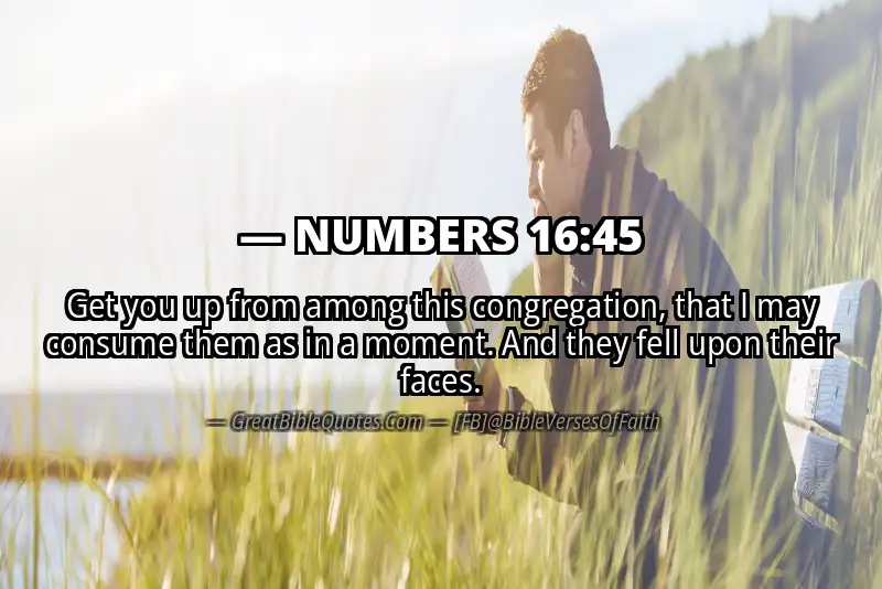 NUMBERS 16:45 Verse