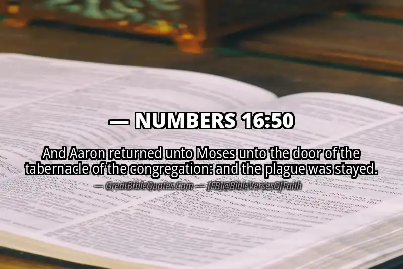 NUMBERS 16:50 Verse