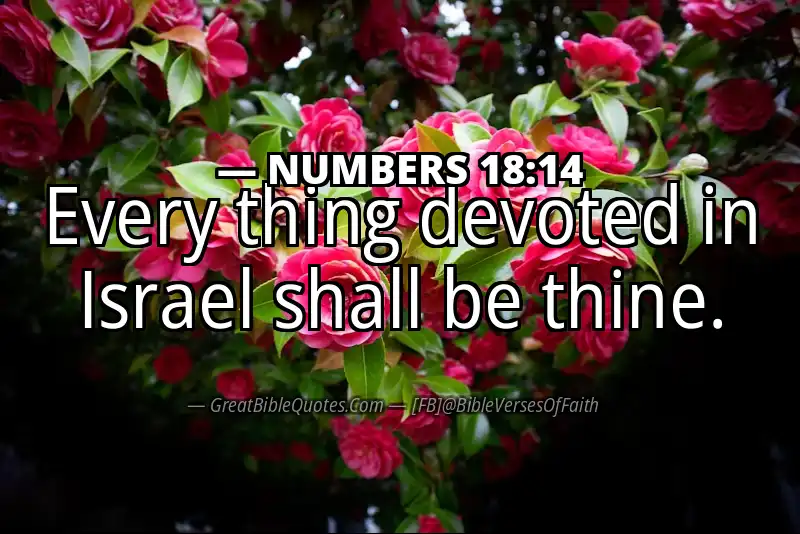 NUMBERS 18:14 Verse