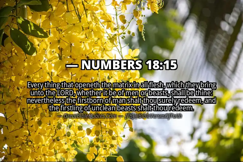 NUMBERS 18:15 Verse