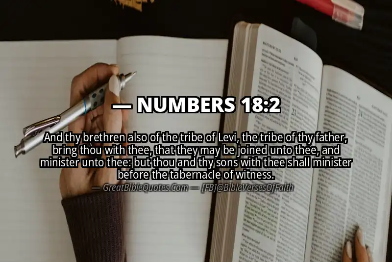 NUMBERS 18:2 Verse