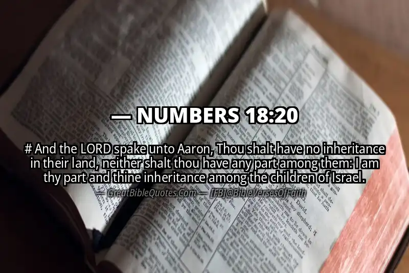 NUMBERS 18:20 Verse