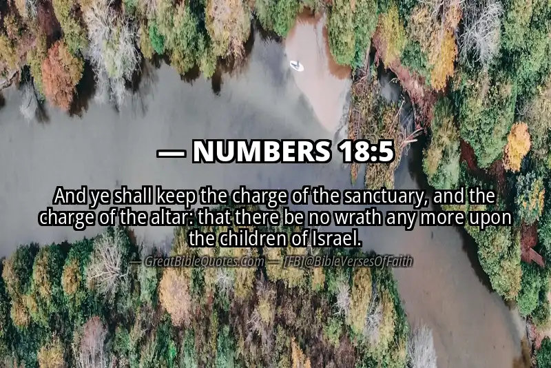 NUMBERS 18:5 Verse