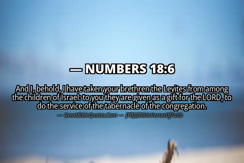 NUMBERS 18:6 Verse