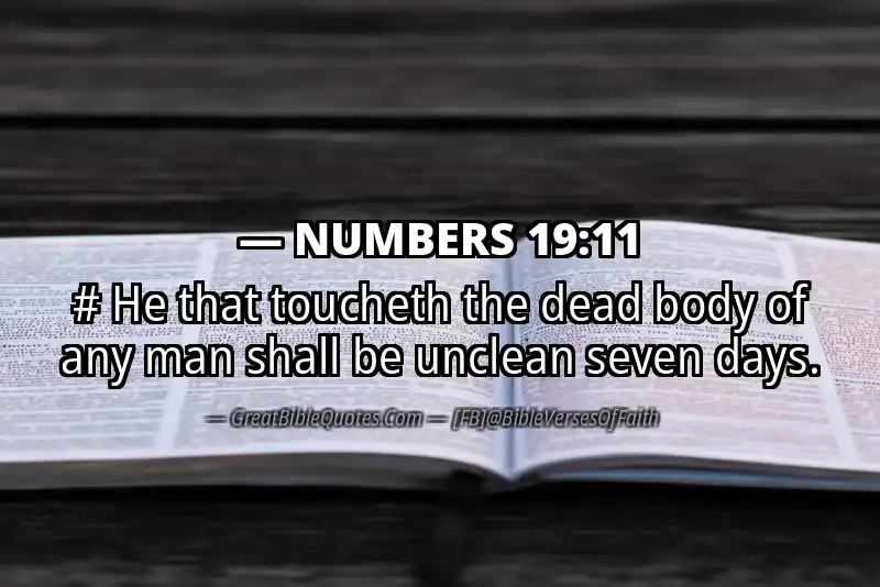 NUMBERS 19:11 Verse