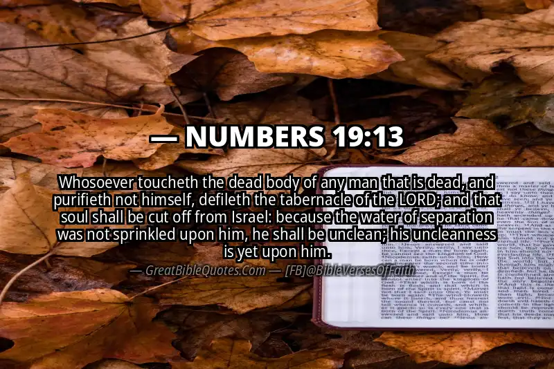 NUMBERS 19:13 Verse
