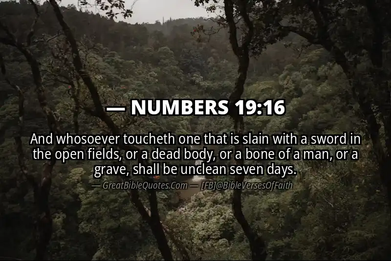 NUMBERS 19:16 Verse