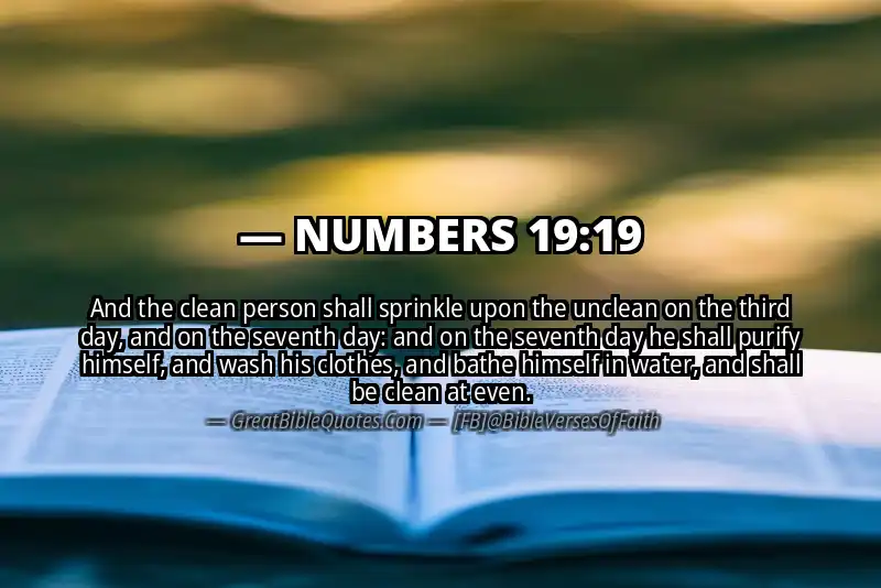 NUMBERS 19:19 Verse