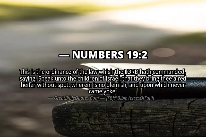NUMBERS 19:2 Verse