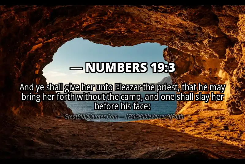NUMBERS 19:3 Verse