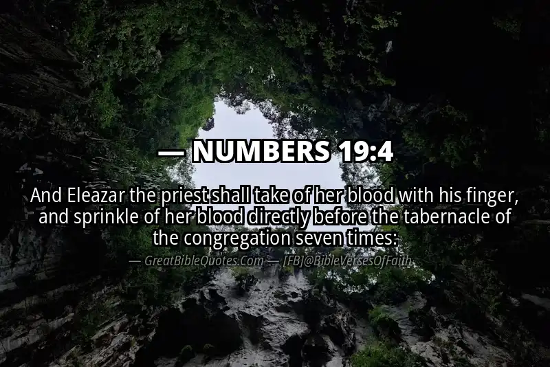 NUMBERS 19:4 Verse Image