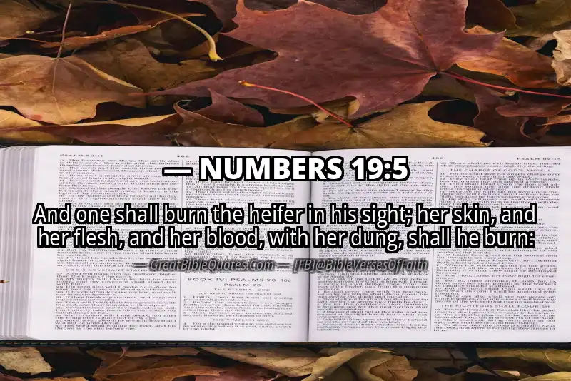 NUMBERS 19:5 Verse