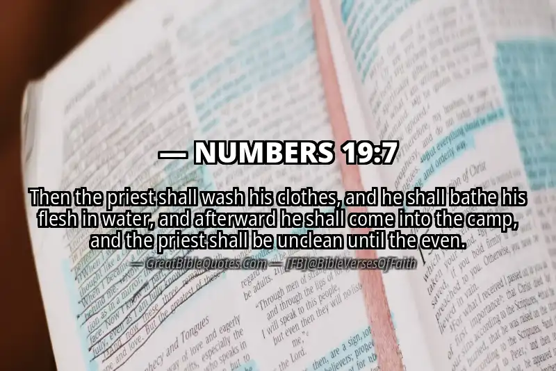 NUMBERS 19:7 Verse