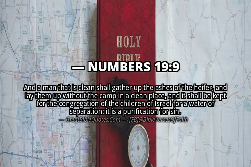 NUMBERS 19:9 Verse