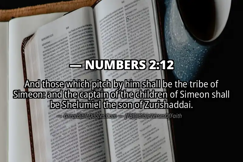 NUMBERS 2:12 Verse