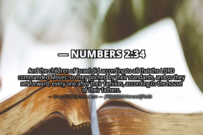 NUMBERS 2:34 Verse
