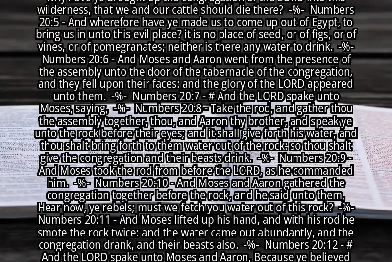 Image for NUMBERS 20:1-12 Bible verse